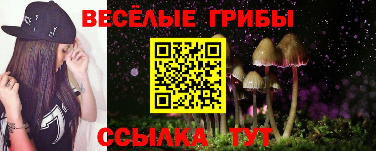 Галлюциногенные грибы Magic Shrooms  Вход с VPN  Новошахтинск 